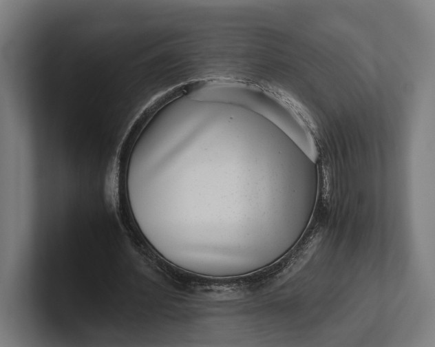 X0000101990580200808011103