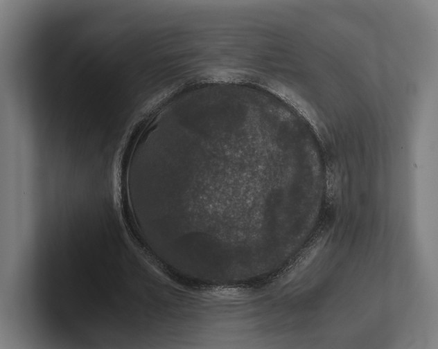 X0000101990581200808011103