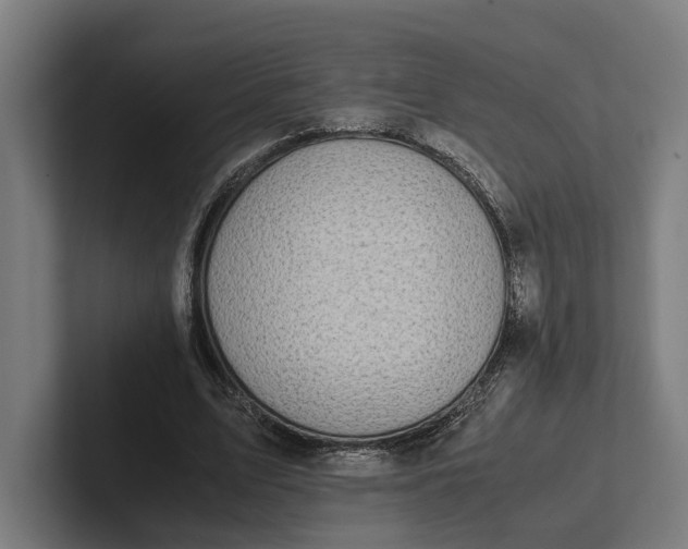 X0000101990583200808011103