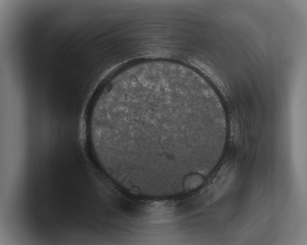 X0000101990584200808011103