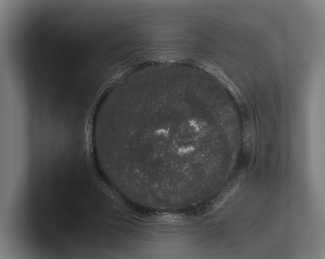 X0000101990585200808011103