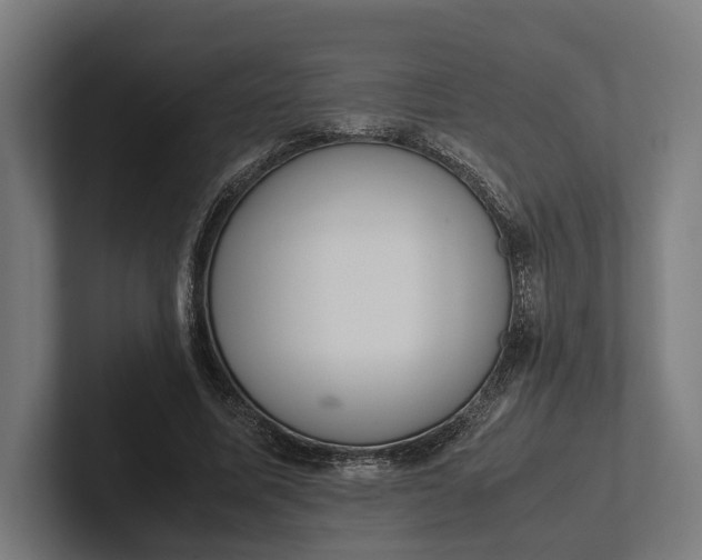 X0000101990587200808011103