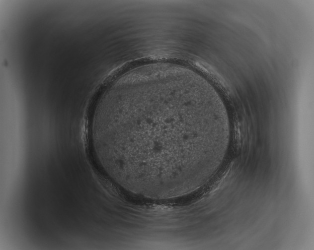 X0000101990592200808011103