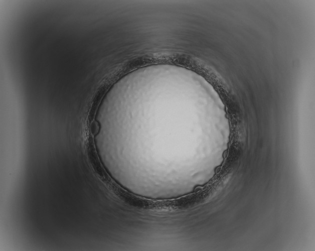 X0000101990593200808011103