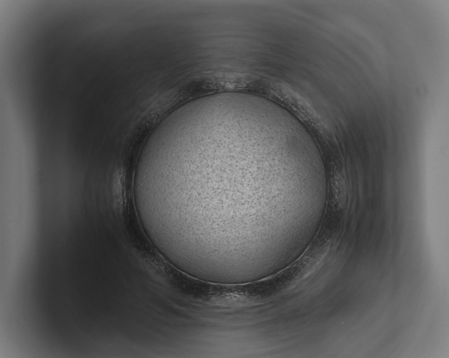 X0000101990594200808011103