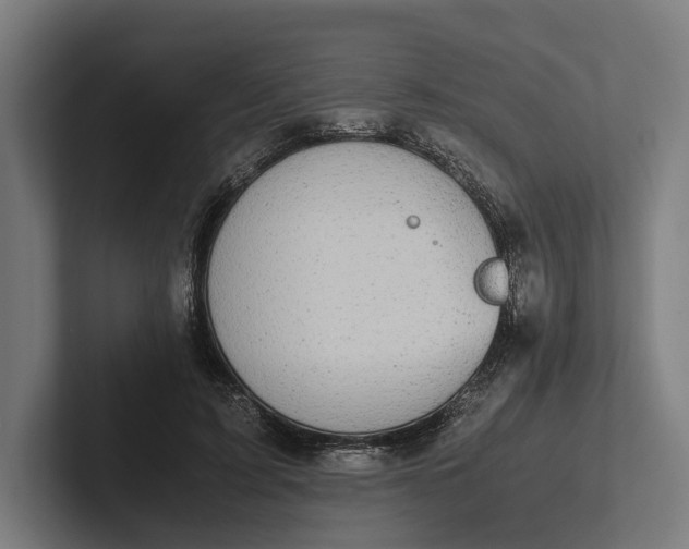 X0000101990595200808011103