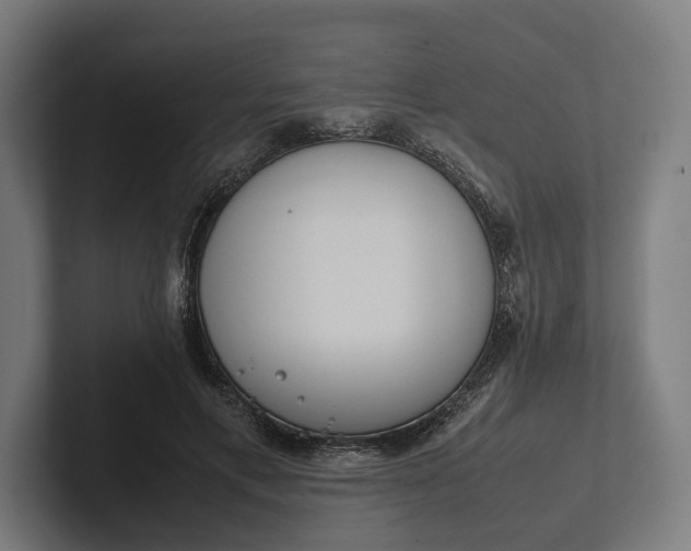 X0000101990597200808011103