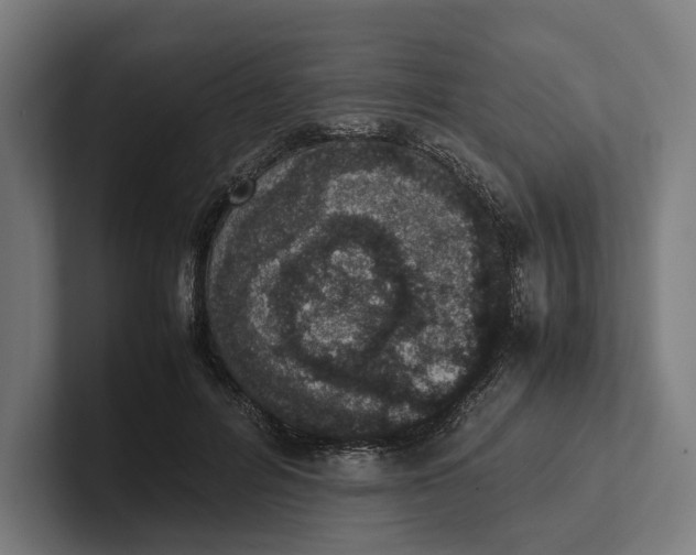 X0000101990600200808011103