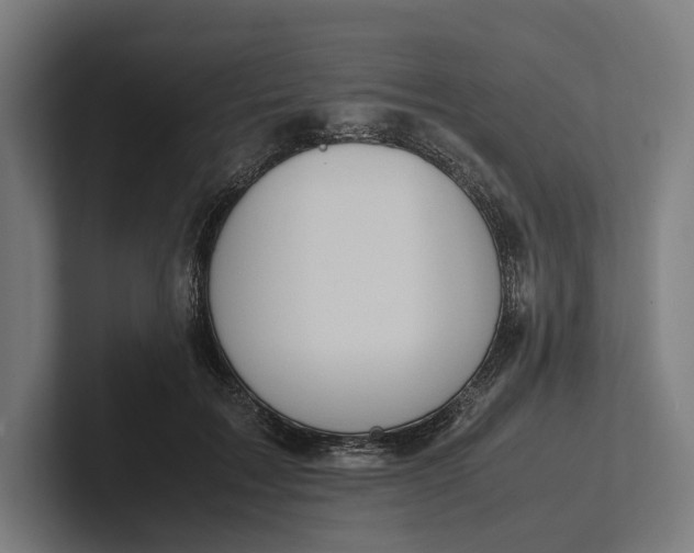 X0000101990603200808011103