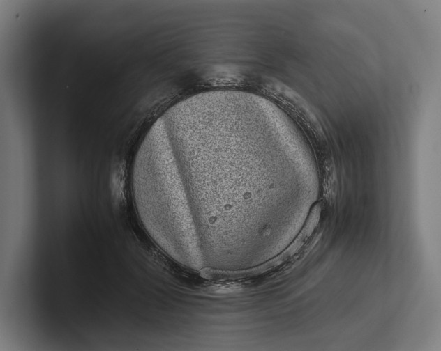 X0000101990604200808011103