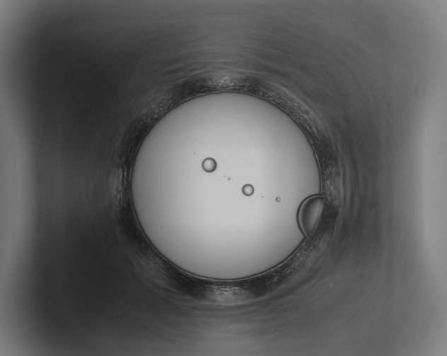 X0000101990605200808011102