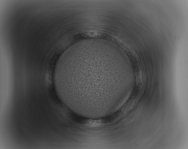 X0000101990606200808011102