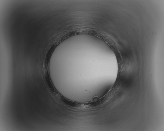 X0000101990607200808011102