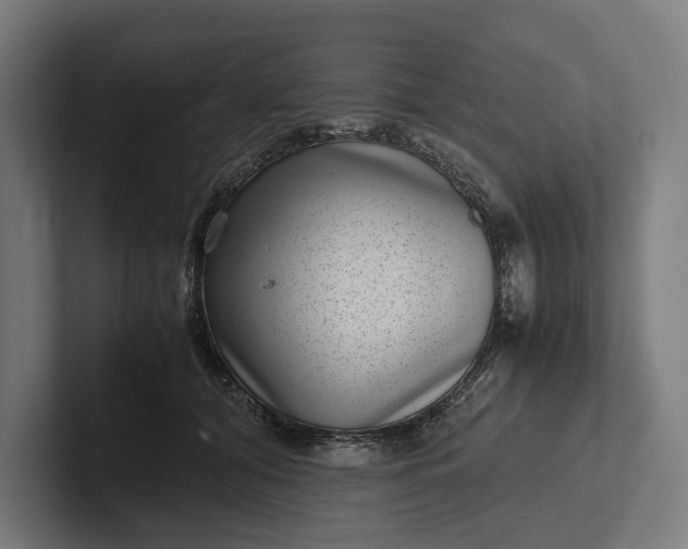 X0000101990608200808011102