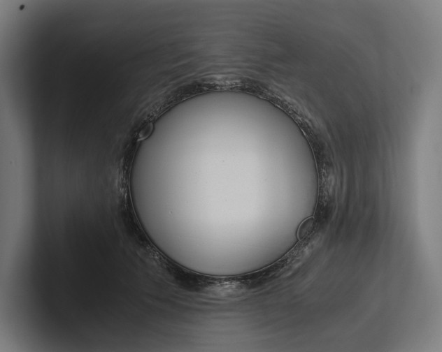 X0000101990609200808011102