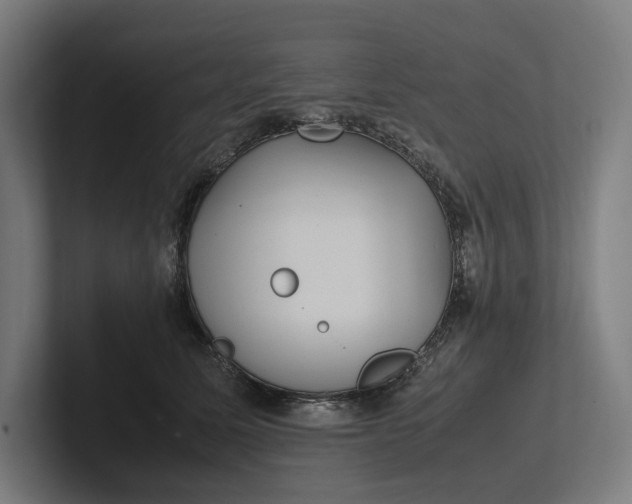 X0000101990611200808011102