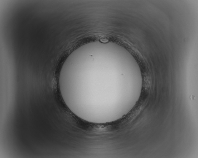 X0000101990613200808011102