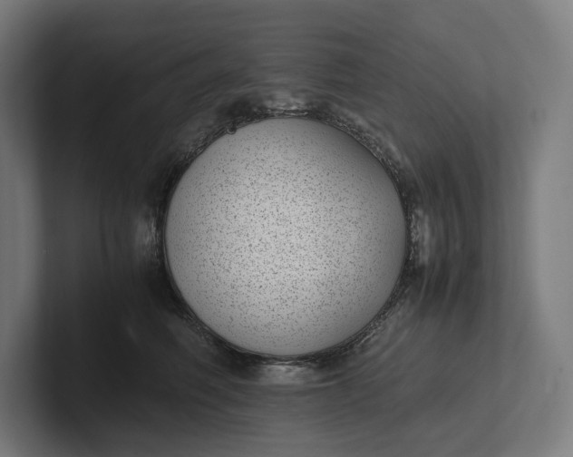 X0000101990614200808011102