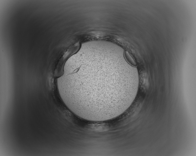 X0000101990615200808011102