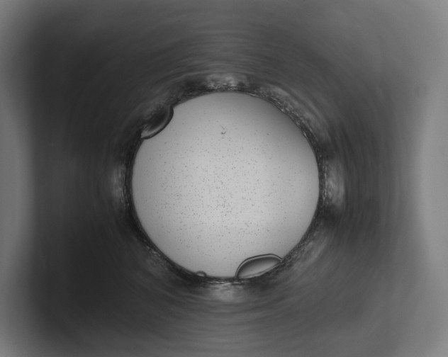 X0000101990616200808011102