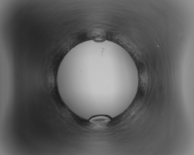 X0000101990617200808011102