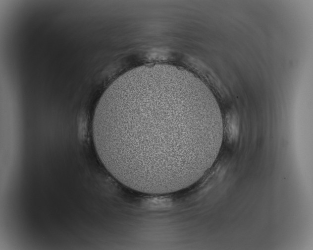 X0000101990619200808011102