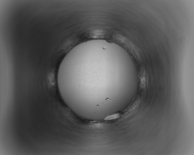 X0000101990620200808011102