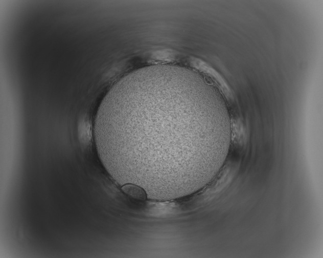 X0000101990621200808011102