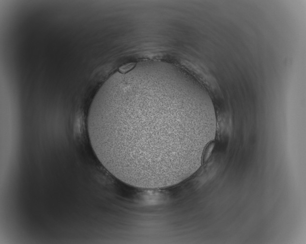 X0000101990623200808011102