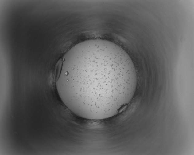 X0000101990624200808011102