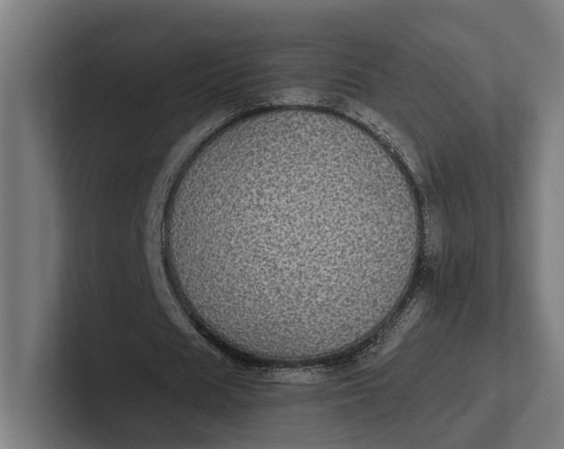 X0000101990625200808011102