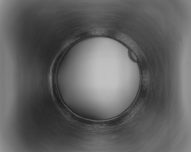 X0000101990626200808011102