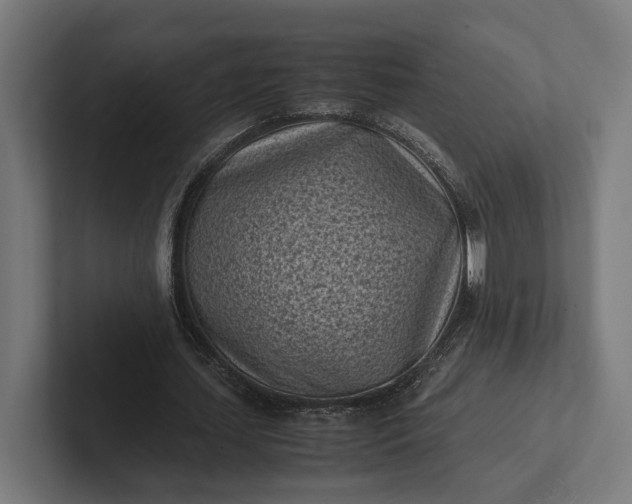 X0000101990627200808011102