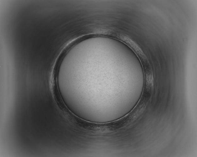 X0000101990628200808011102