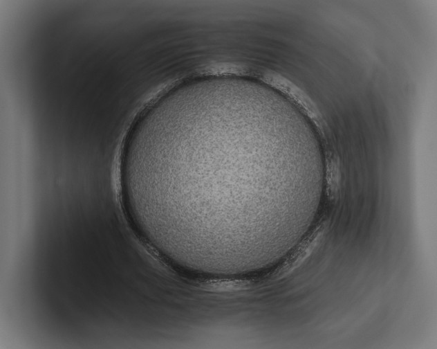 X0000101990629200808011102