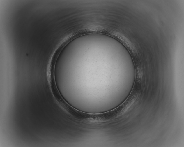 X0000101990630200808011102