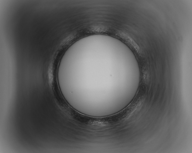 X0000101990635200808011102