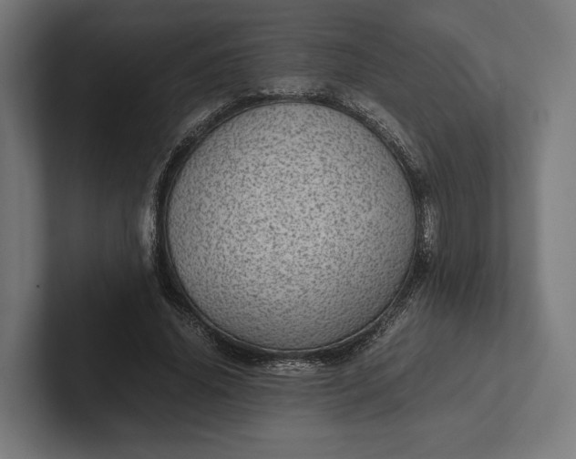 X0000101990636200808011102