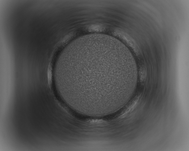 X0000101990637200808011102