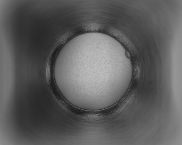 X0000101990638200808011102