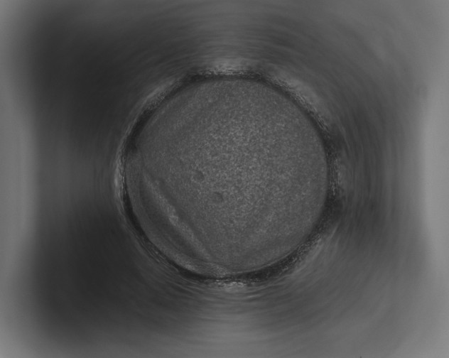 X0000101990640200808011102