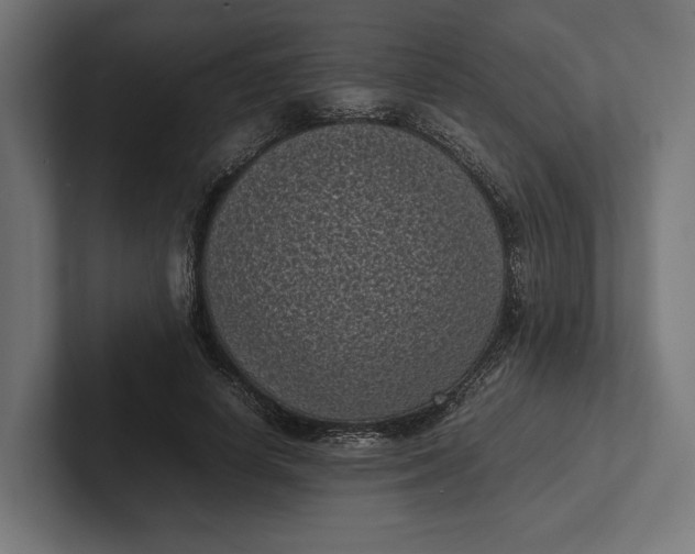 X0000101990642200808011102