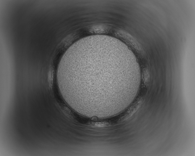 X0000101990645200808011102