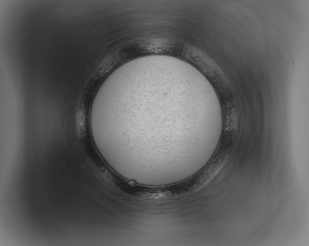 X0000101990646200808011102