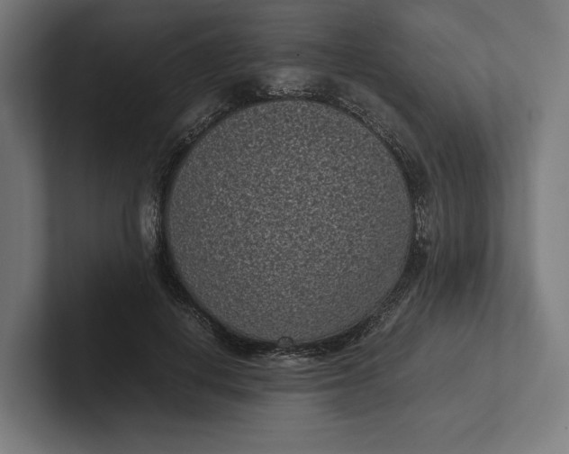 X0000101990648200808011102