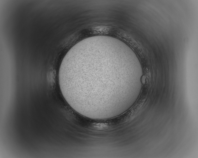 X0000101990649200808011102