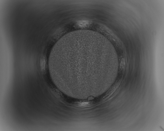 X0000101990651200808011102