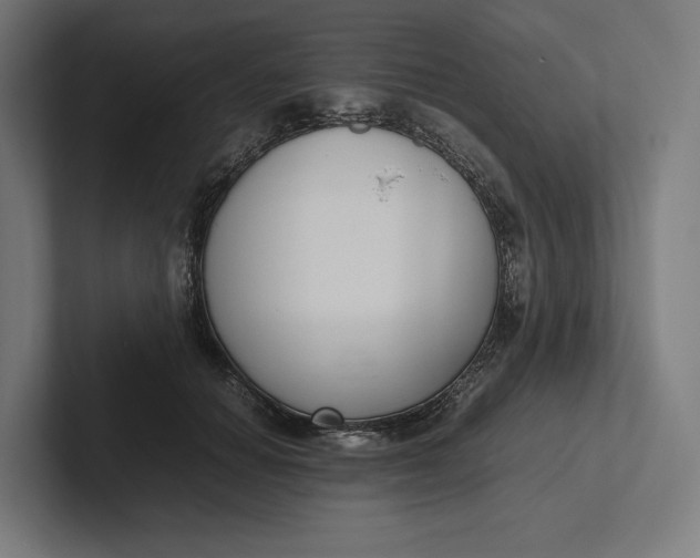 X0000101990654200808011102