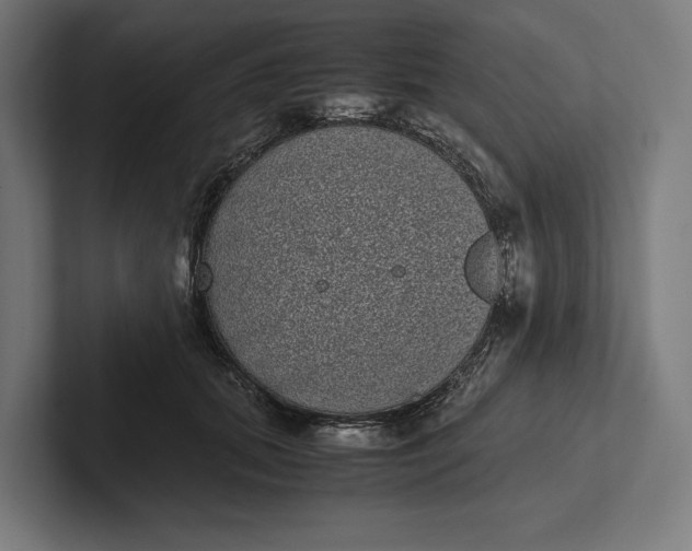 X0000101990655200808011102