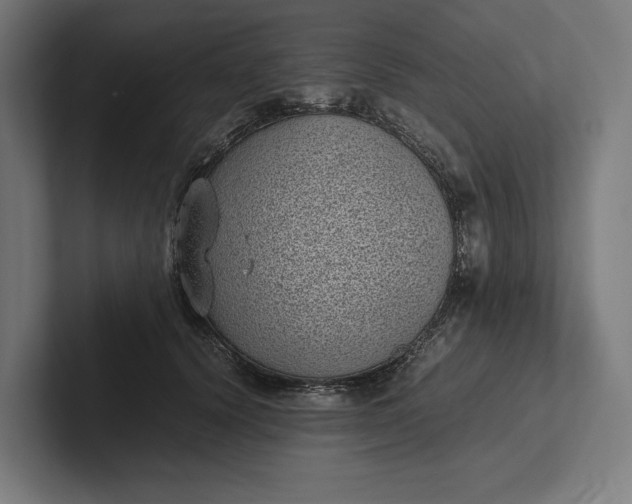 X0000101990656200808011102